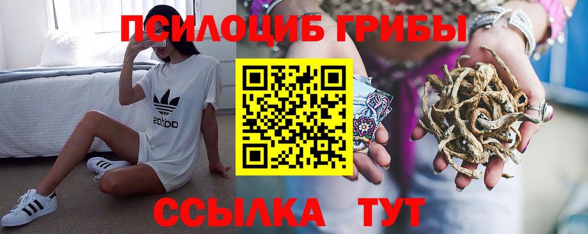 Галлюциногенные грибы мухоморы  купить закладку  Кимовск  Вход с VPN 