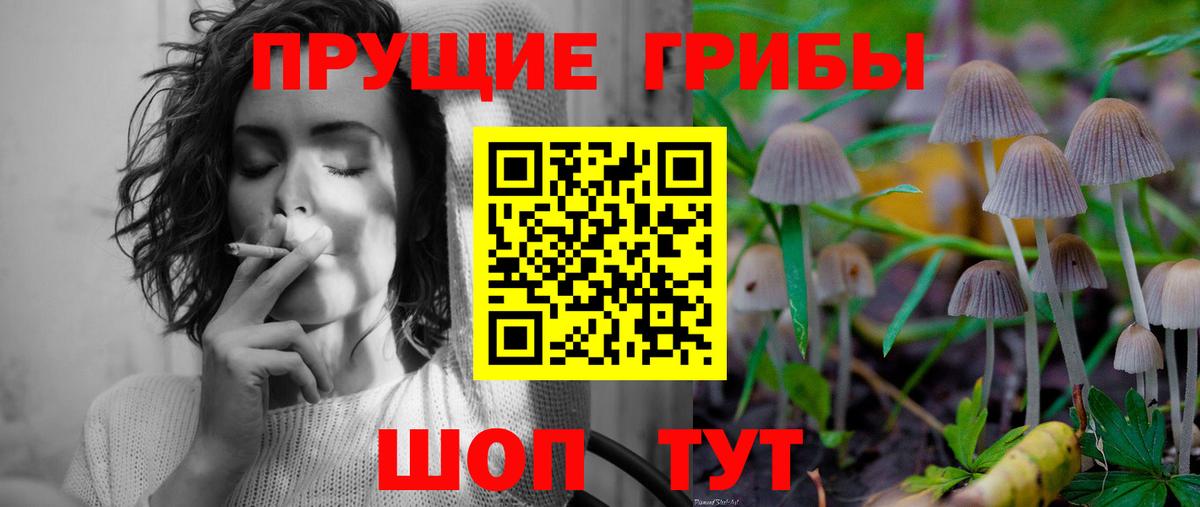 Псилоцибиновые грибы ЛСД Кимовск