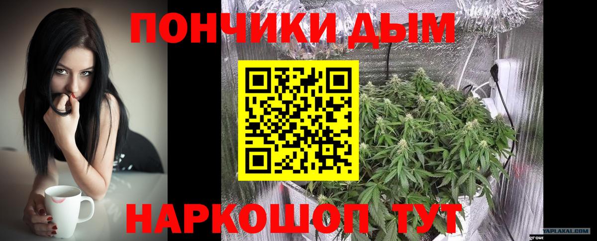 Шишки марихуана Bruce Banner Кимовск